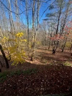 $235,000 | 126 Sunrise Sunset Drive, Jefferson, NY 12093