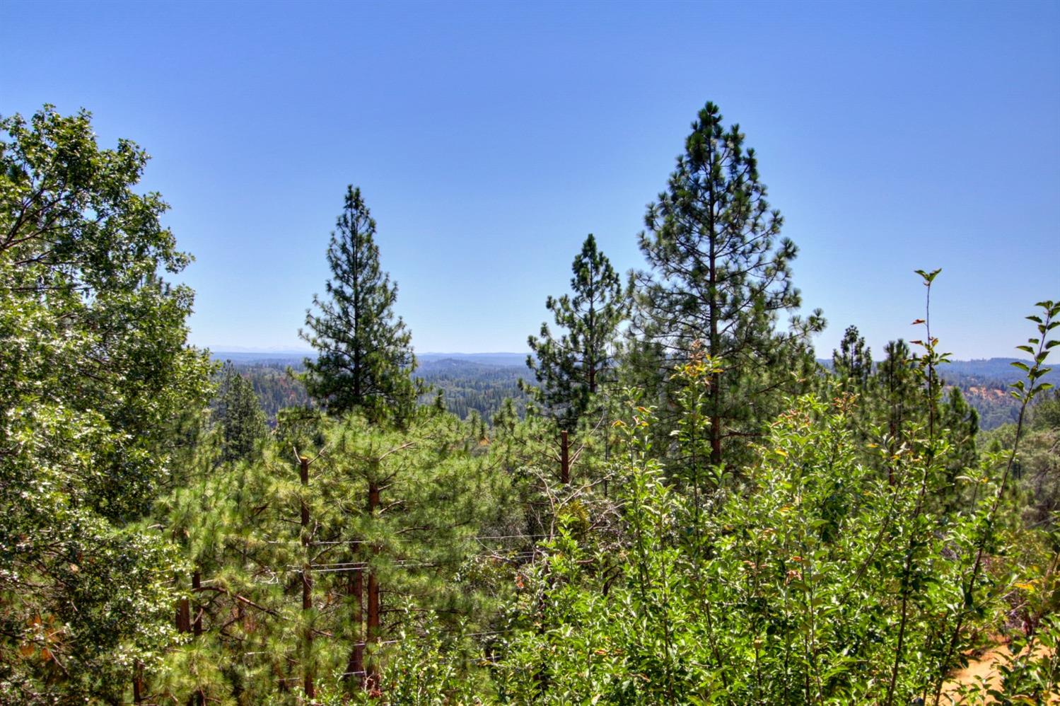 18119 Norlene Way Grass Valley, CA 95949 - Photo 11 of 93