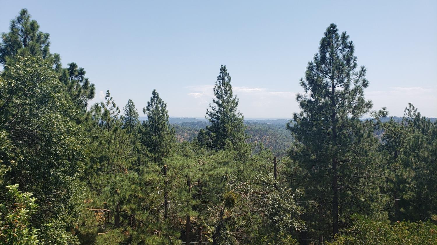 18119 Norlene Way Grass Valley, CA 95949 - Photo 18 of 93