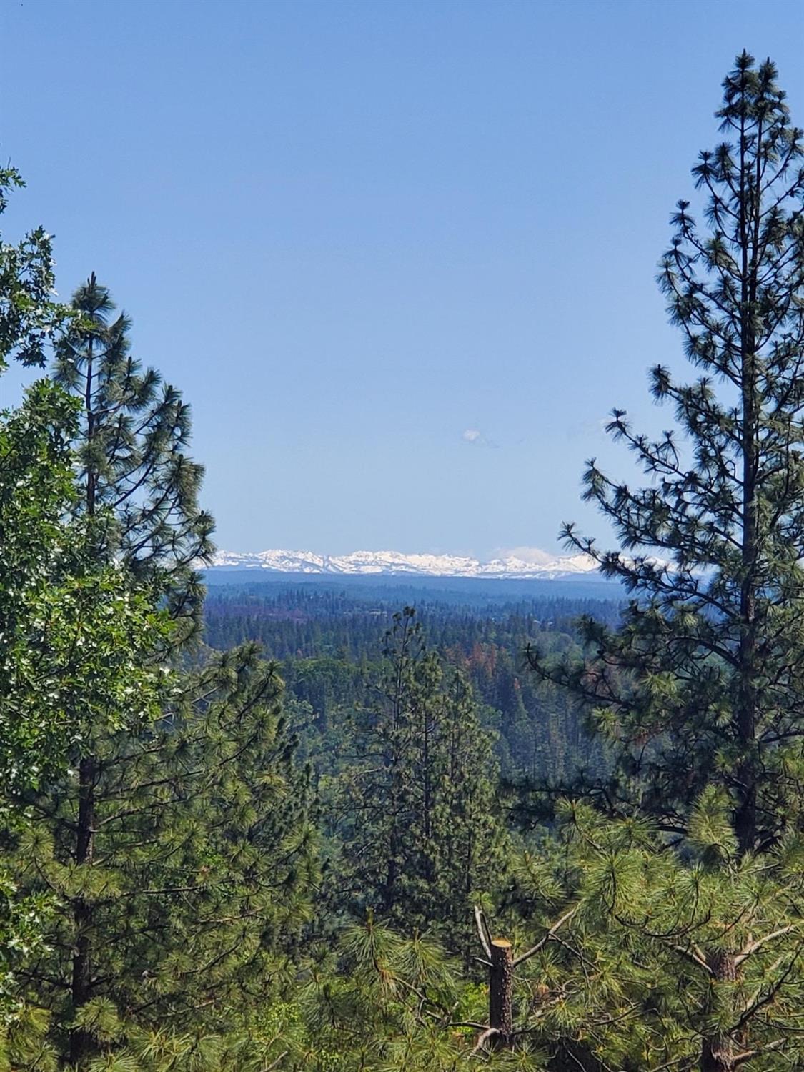 18119 Norlene Way Grass Valley, CA 95949 - Photo 27 of 93