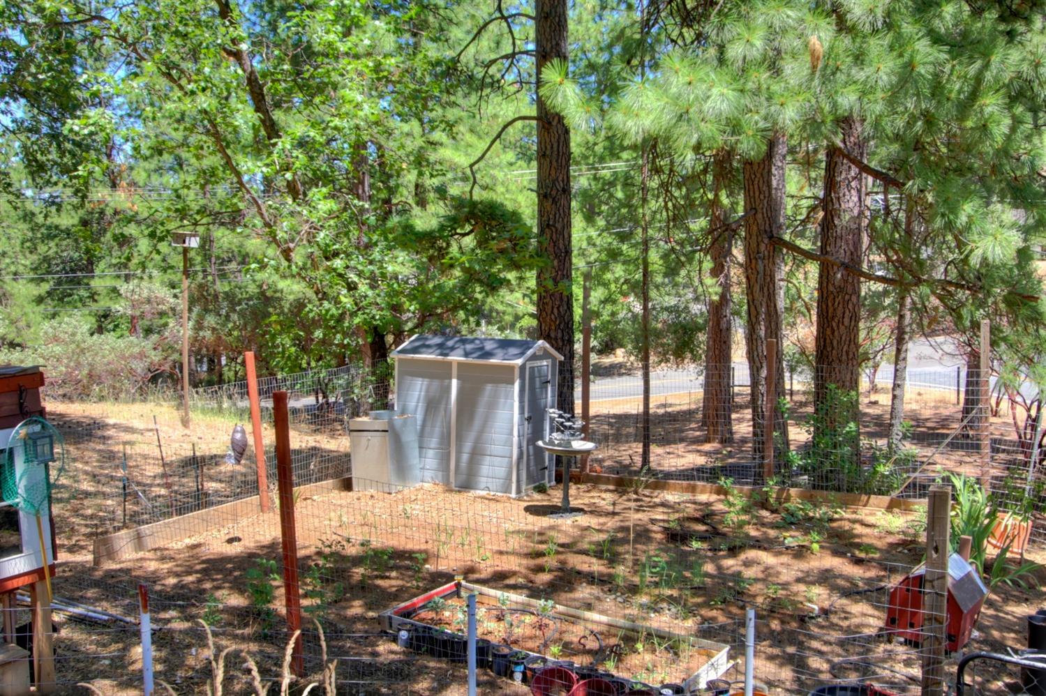18119 Norlene Way Grass Valley, CA 95949 - Photo 78 of 93 a backyard of a house with lots of green space
