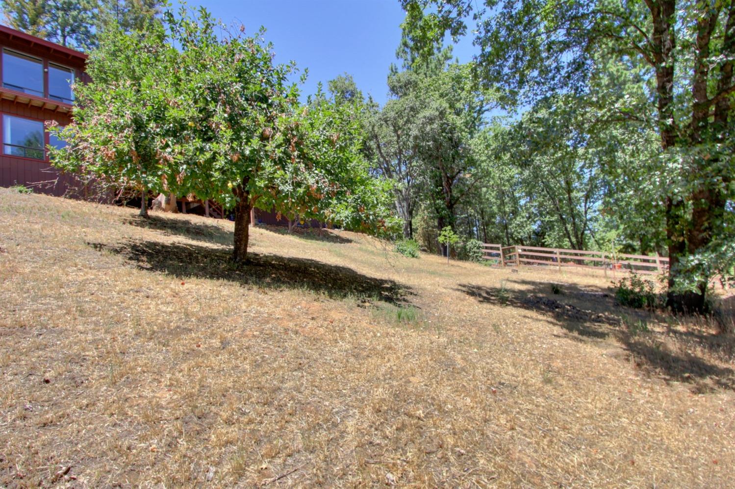 18119 Norlene Way Grass Valley, CA 95949 - Photo 88 of 93 a view of a yard with a tree