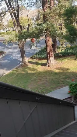 a view of a backyard of a house