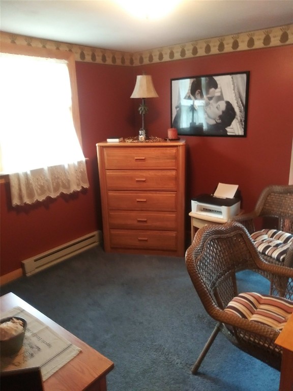 324 Meeker Road Vestal, NY 13850 - Photo 21 of 25 Gallery Image 21