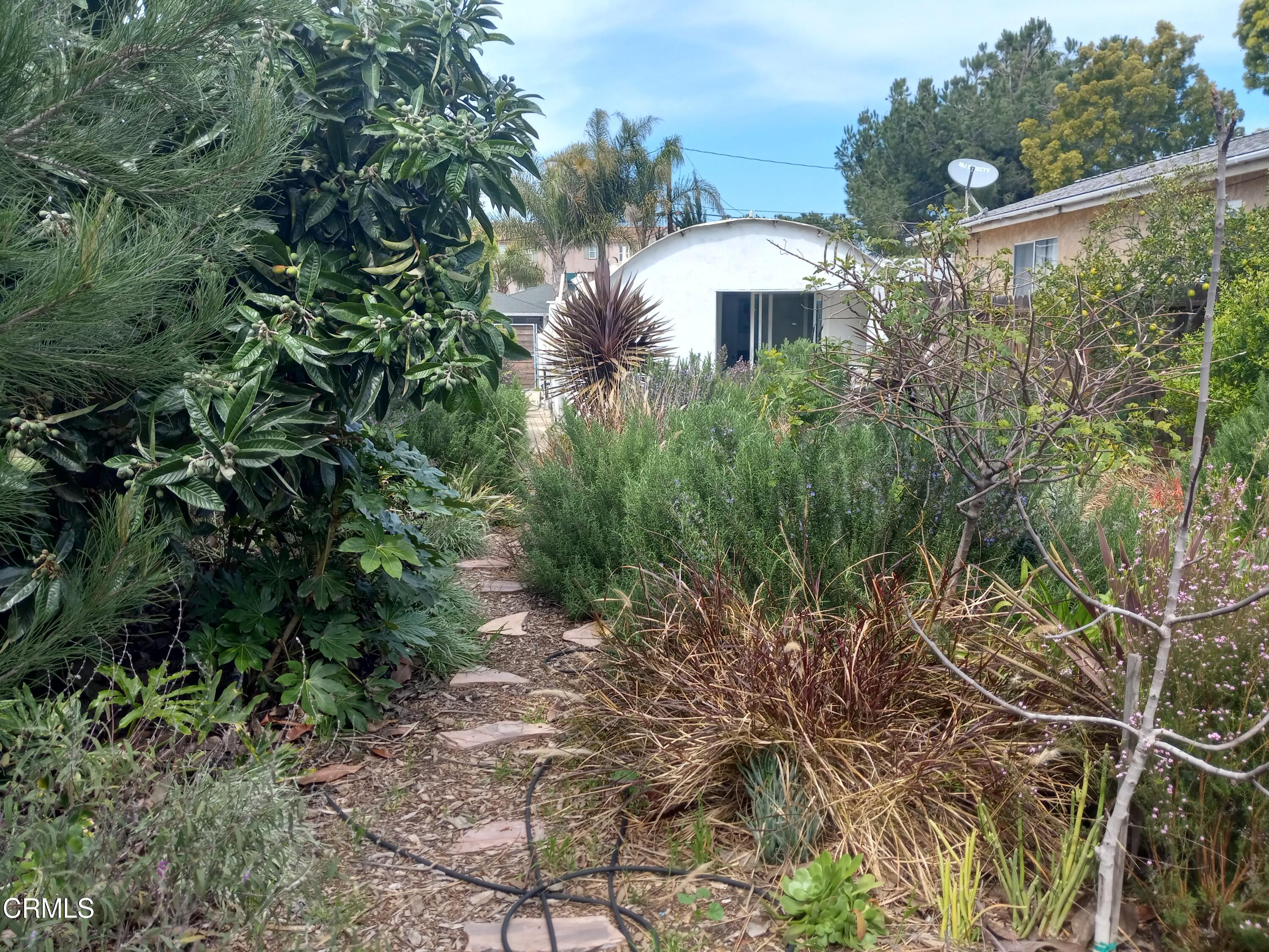 11170 Aster Street Ventura, CA 93004 - Photo 7 of 9 20230317_124300_1