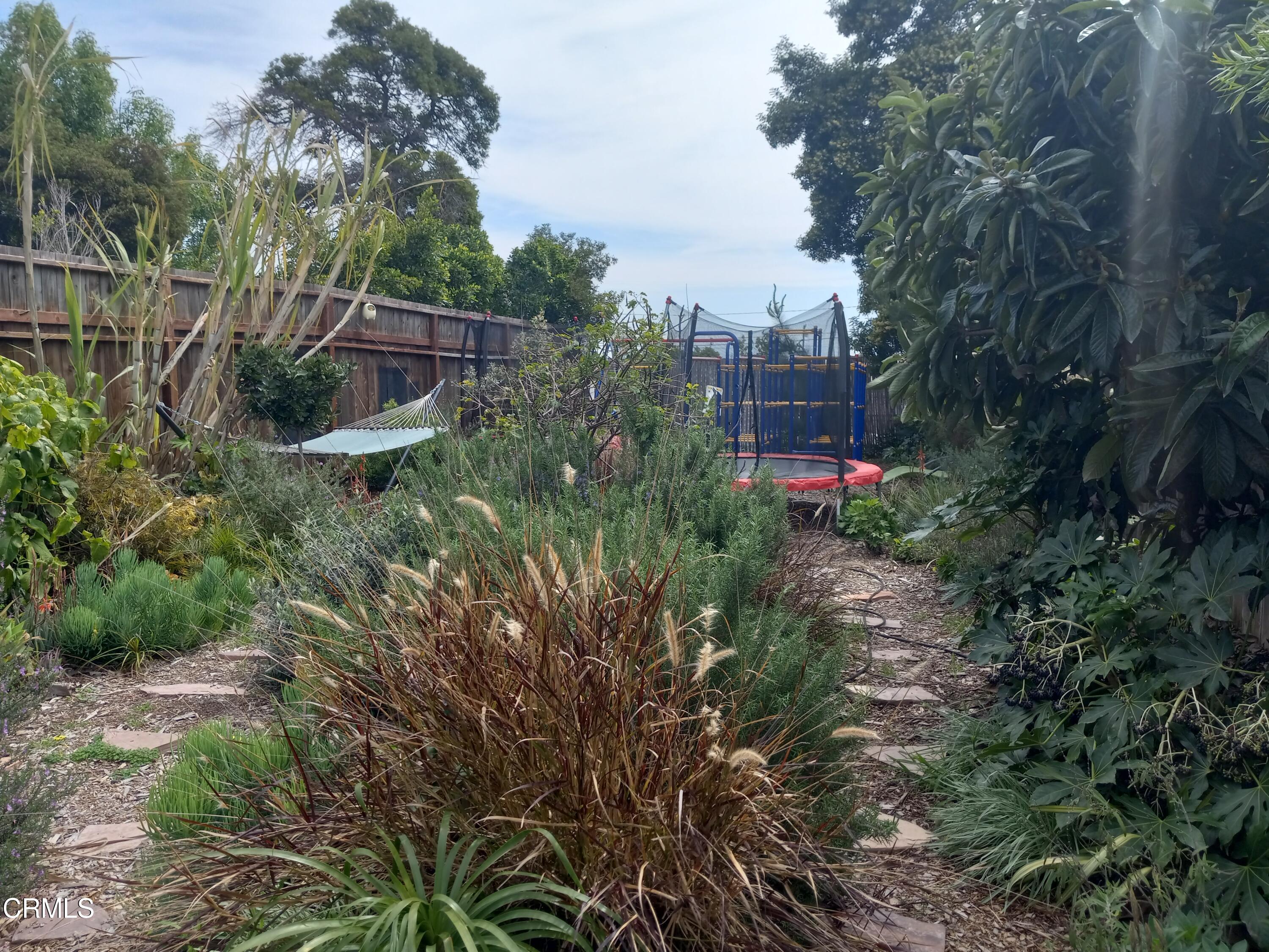 11170 Aster Street Ventura, CA 93004 - Photo 8 of 9 20230317_124315