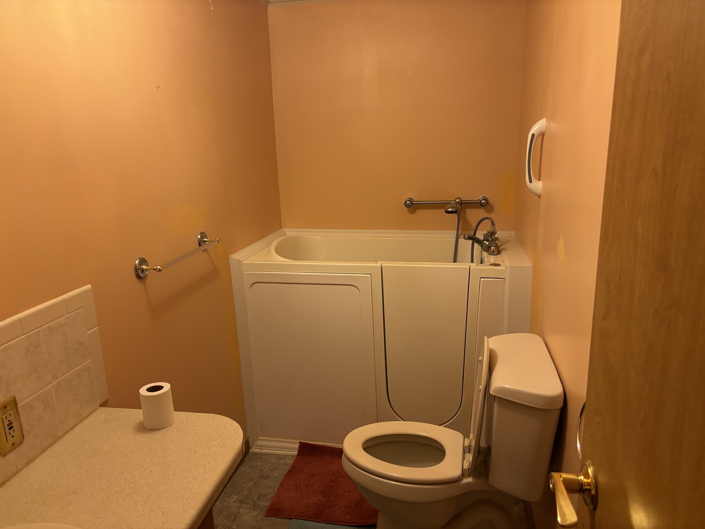 4045 East 475th Road Mendota, IL 61342 - Photo 3 of 16