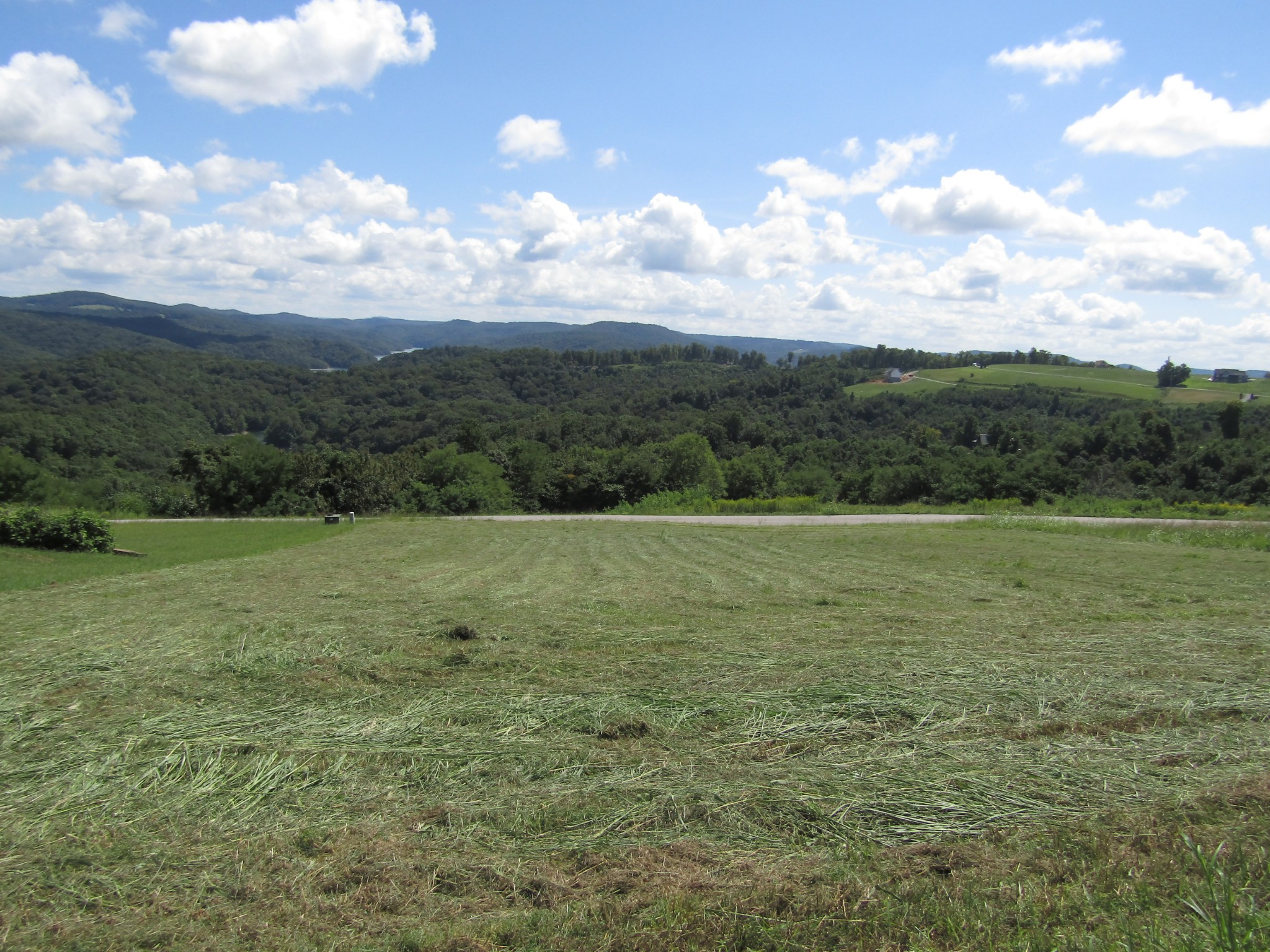 0 East Swann Ridge Road Allons, TN 38541 - Photo 12 of 17 Gallery Image 12