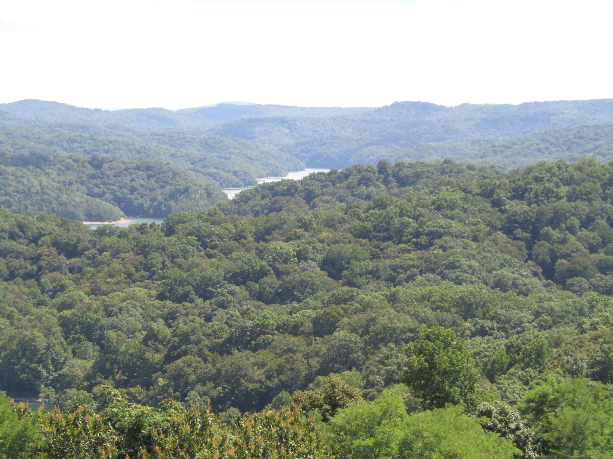 0 East Swann Ridge Road Allons, TN 38541 - Photo 13 of 17 Gallery Image 13