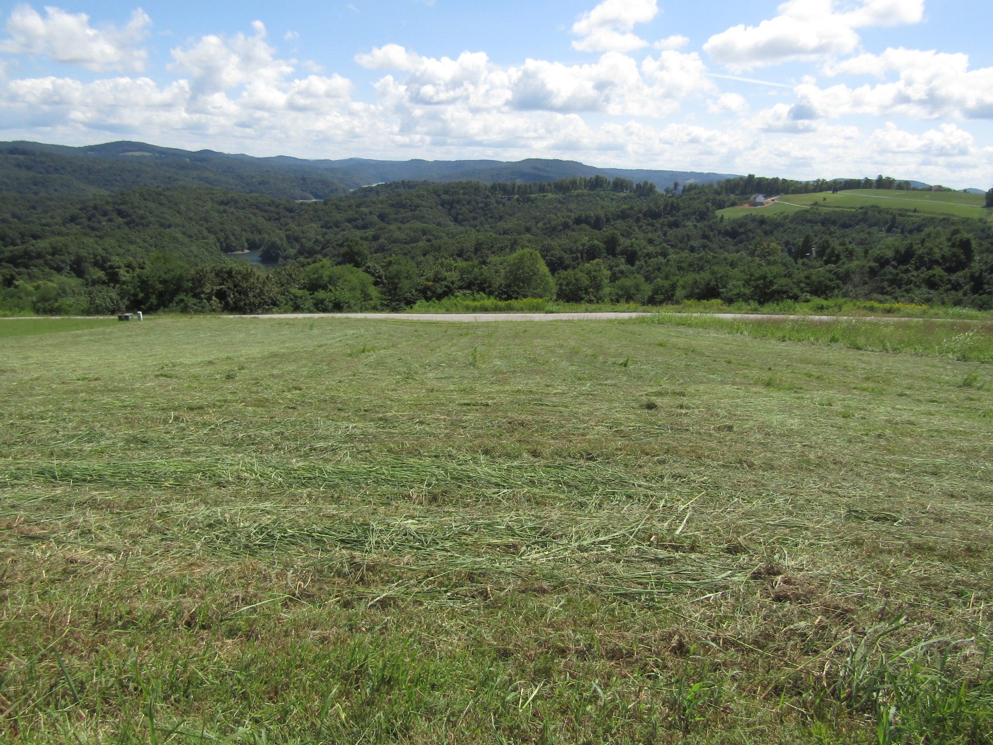 0 East Swann Ridge Road Allons, TN 38541 - Photo 3 of 17 Gallery Image 3