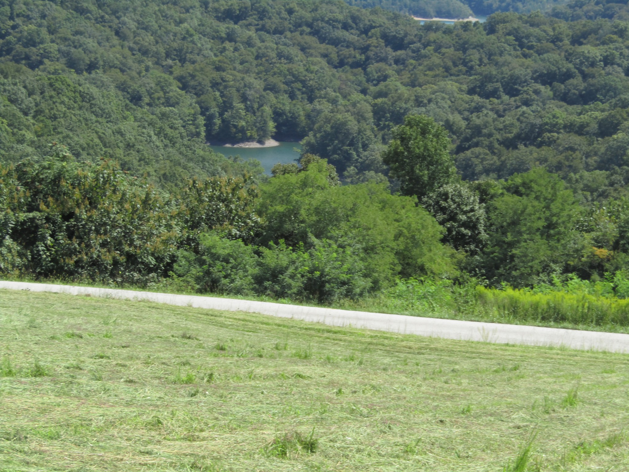 0 East Swann Ridge Road Allons, TN 38541 - Photo 7 of 17 Gallery Image 7