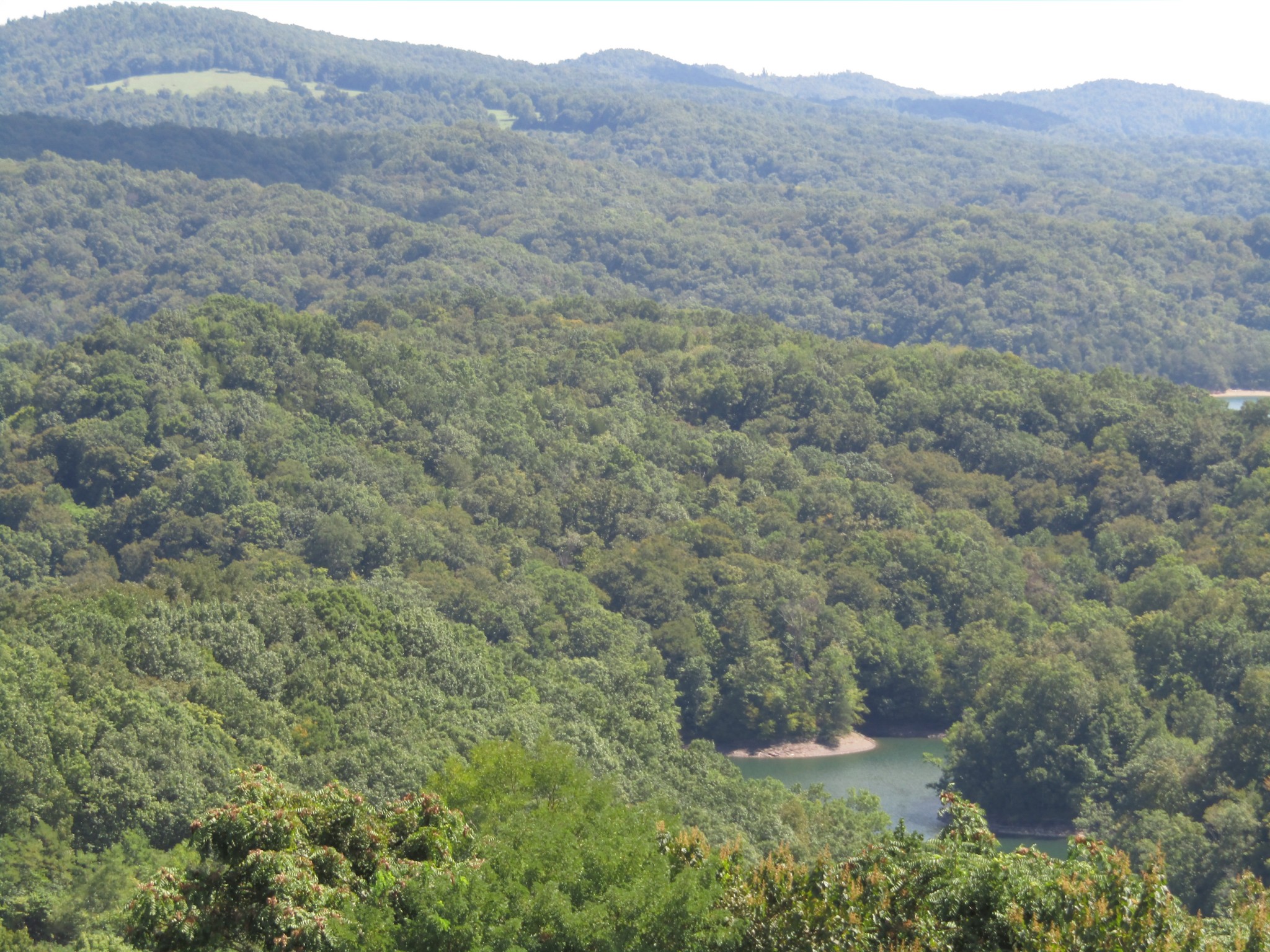 0 East Swann Ridge Road Allons, TN 38541 - Photo 10 of 17 Gallery Image 10