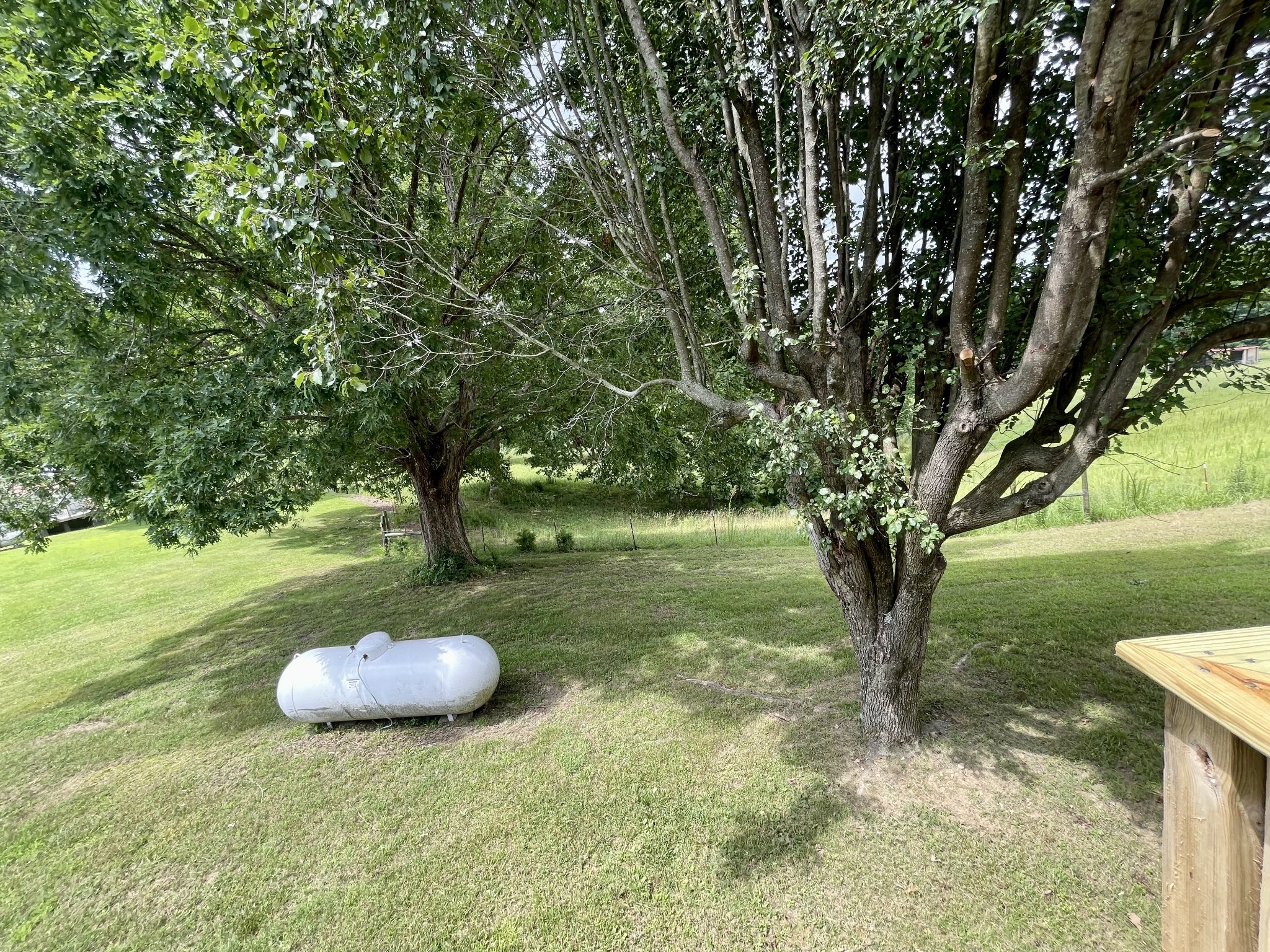 1213 West Point Road Lawrenceburg, TN 38464 - Photo 31 of 37 a view of a trees in a yard