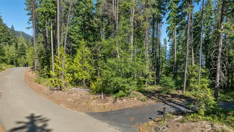 a view of a garden with plants