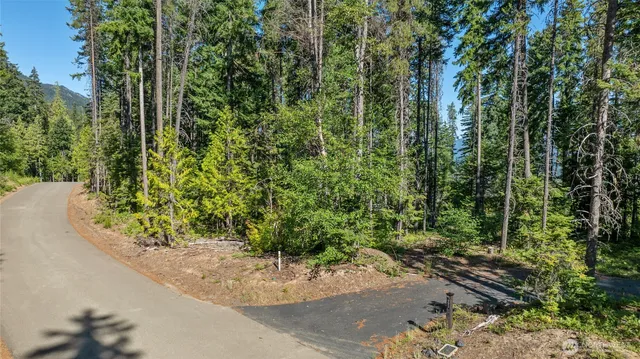 a view of a garden with plants