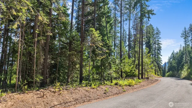 a view of a garden with plants