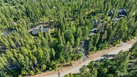 a view of a lush green hillside and a houses