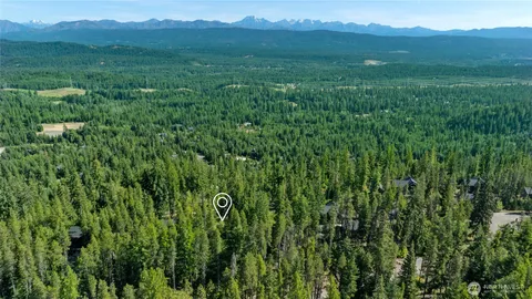 a view of a lush green forest with trees and some houses