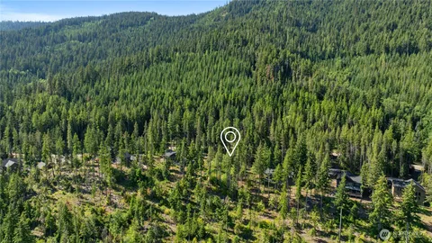 a view of a lush green forest with trees in the background