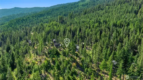 a view of a lush green hillside and a mountain