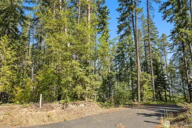 a view of a yard with plants and trees