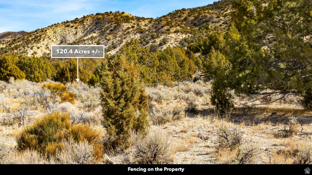 0 County Road 28 Levan, UT 84639 - Photo 37 of 207