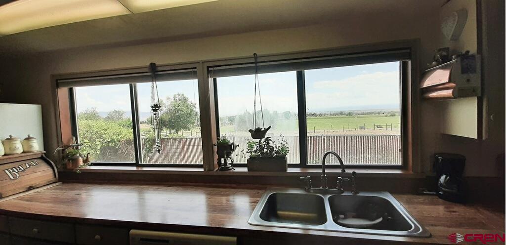 20939 Fairview Road Austin, CO 81410 - Photo 11 of 33