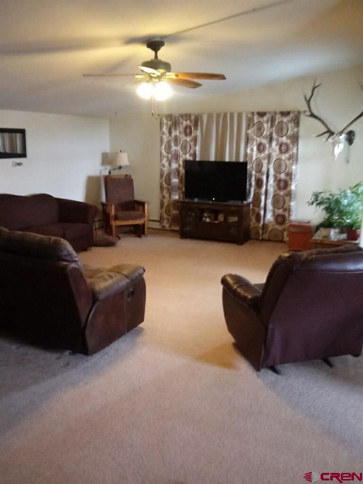 20939 Fairview Road Austin, CO 81410 - Photo 12 of 33