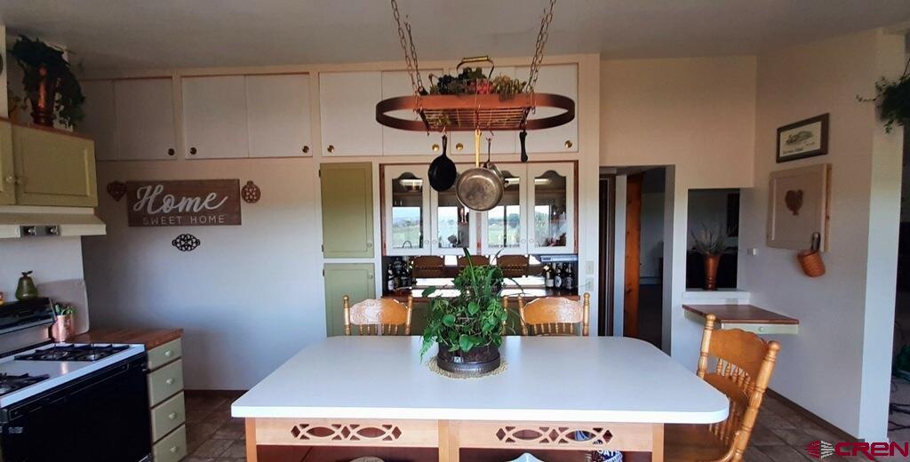 20939 Fairview Road Austin, CO 81410 - Photo 8 of 33