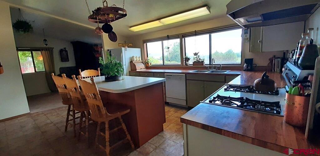 20939 Fairview Road Austin, CO 81410 - Photo 9 of 33