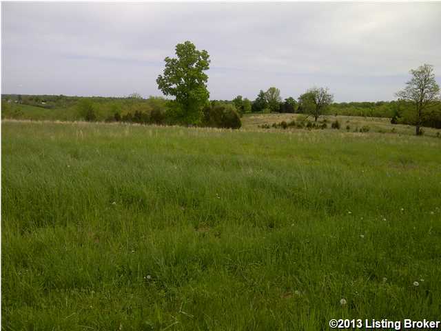 2 Hall Simpson Road Loretto, KY 40037 - Photo 1 of 3 Primary Photo
