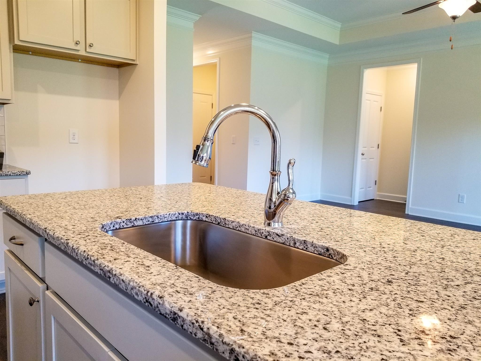 403 Butler Road Mount Juliet, TN 37122 - Photo 9 of 24 a close view of a sink and tap