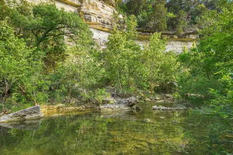 a view of a tree with a yard