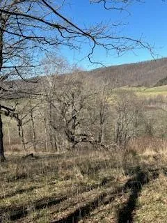 $99,950 | Lot 13 Little Mountain Road, New Castle, VA 24127