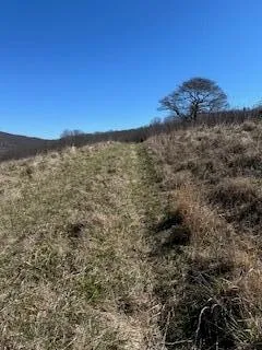 $99,950 | Lot 13 Little Mountain Road, New Castle, VA 24127