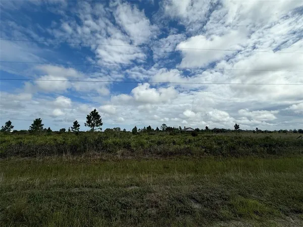 a view of a green field with lots of green space