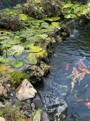a view of a flower in a garden