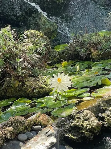 a picture of city view