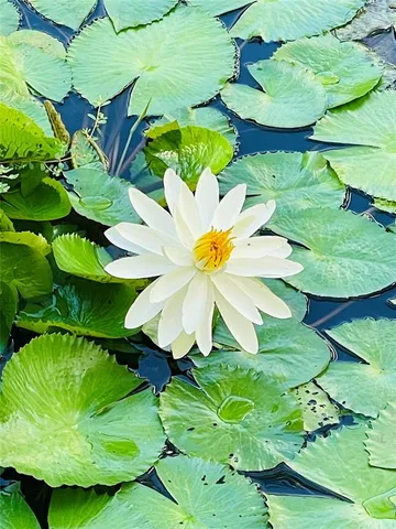 a view of sky from balcony