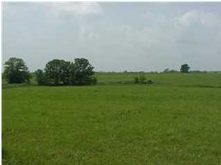 14 Elmburg Road Bagdad, KY 40003 - Photo 1 of 1 Primary Photo