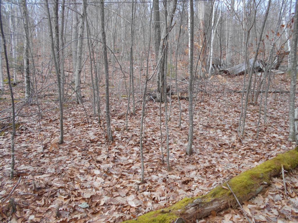 0 Gilbert Road Sandgate, VT 05250 - Photo 1 of 3 Gallery Image 1