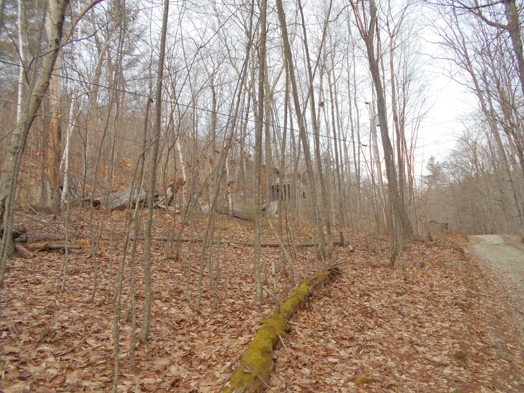 0 Gilbert Road Sandgate, VT 05250 - Photo 2 of 3 Gallery Image 2