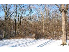 4250 West Tanglewood Road Bloomington, IN 47404 - Photo 5 of 5
