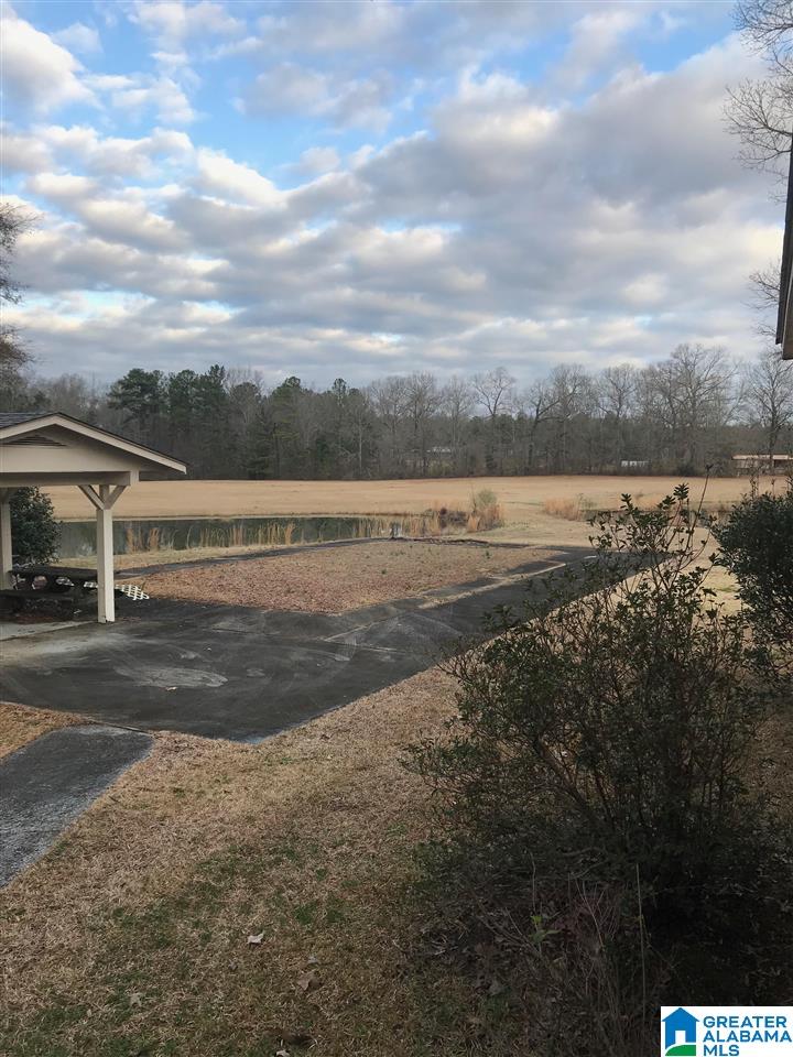 1547 Fulton Gap Road Sylacauga, AL 35150 - Photo 32 of 46