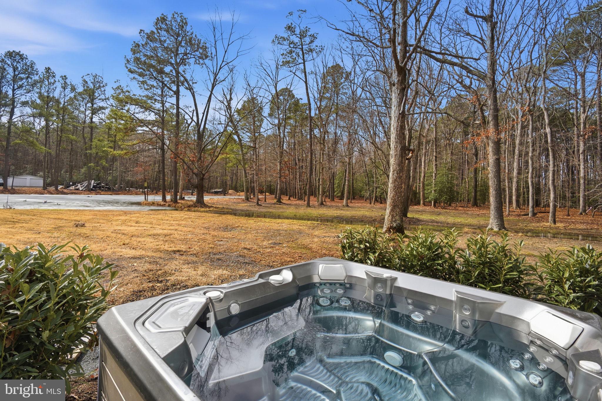 9180 St Michaels St. Michaels, MD 21663 - Photo 61 of 65 hot tub