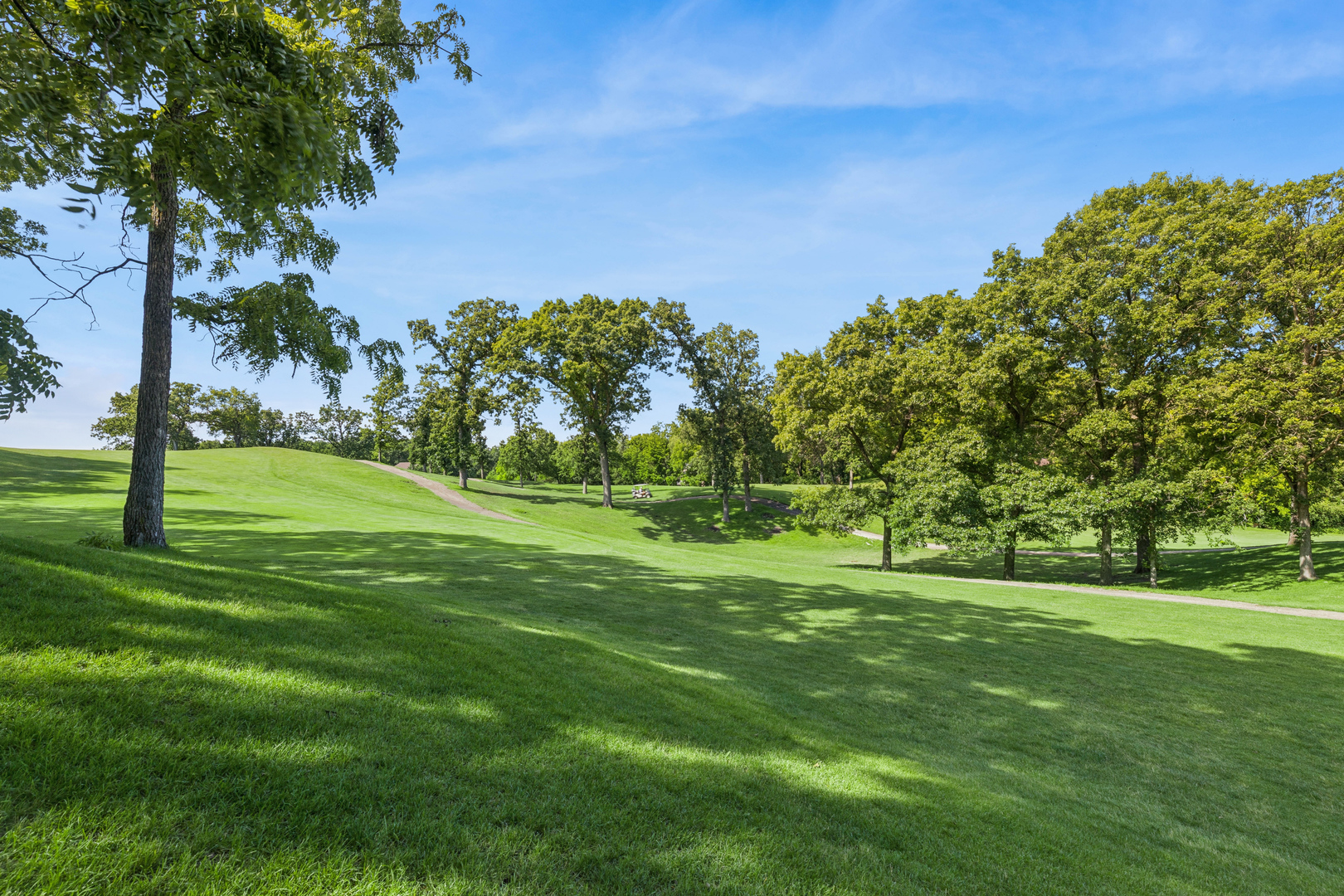 2719 Crystal Way Prairie Grove, IL 60012 - Photo 13 of 50