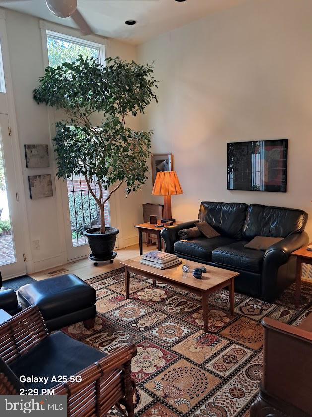 430 South 5th Street Philadelphia, PA 19147 - Photo 6 of 32 a living room with furniture a rug and a potted plant