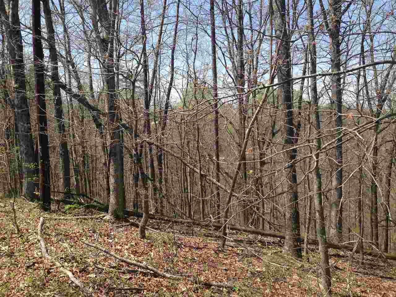 45 Dry Ridge Road Milton, WV 25541 - Photo 8 of 17 Gallery Image 8