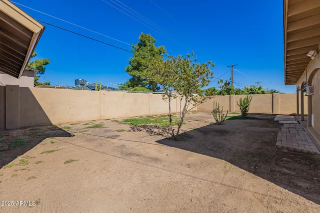 a view of a backyard