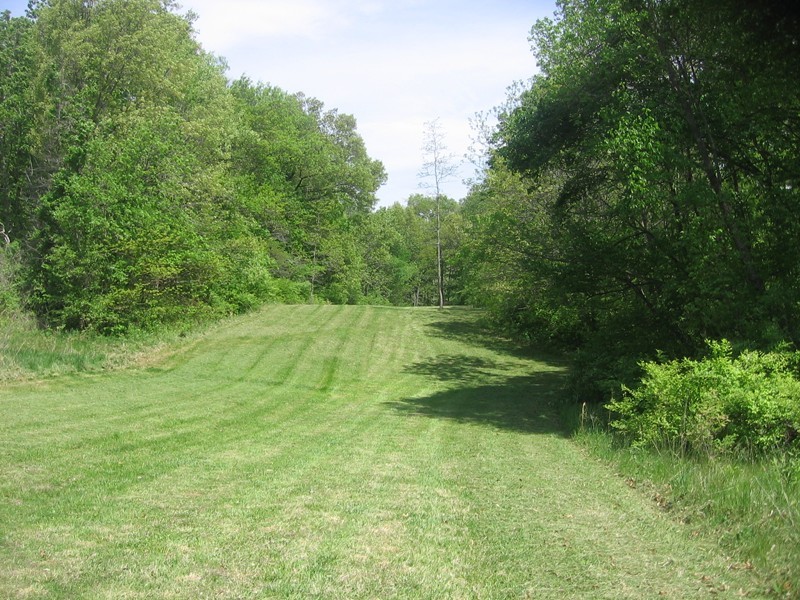 779 East Base Line Road Centralia, IL 62801 - Photo 4 of 5 Gallery Image 4